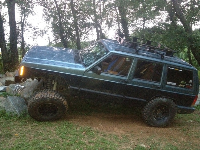 flex pics-image-3635306711.jpg