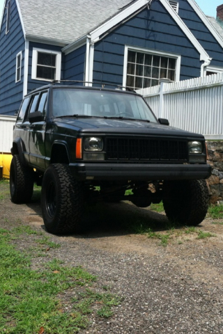 teenage owners post pics-image-1732025283.jpg