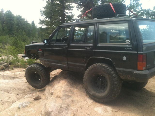 teenage owners post pics-image-1861031252.jpg
