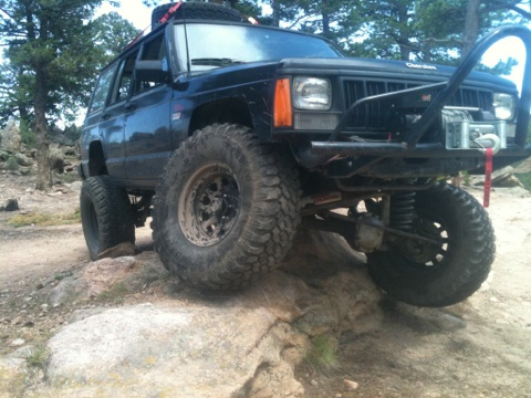 teenage owners post pics-image-1322792509.jpg