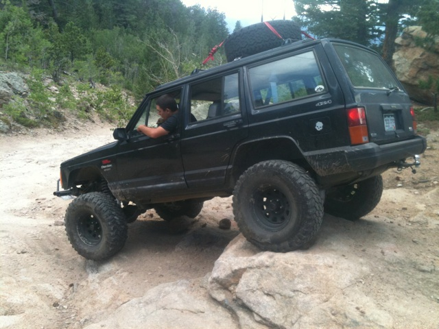 teenage owners post pics-image-1669717022.jpg