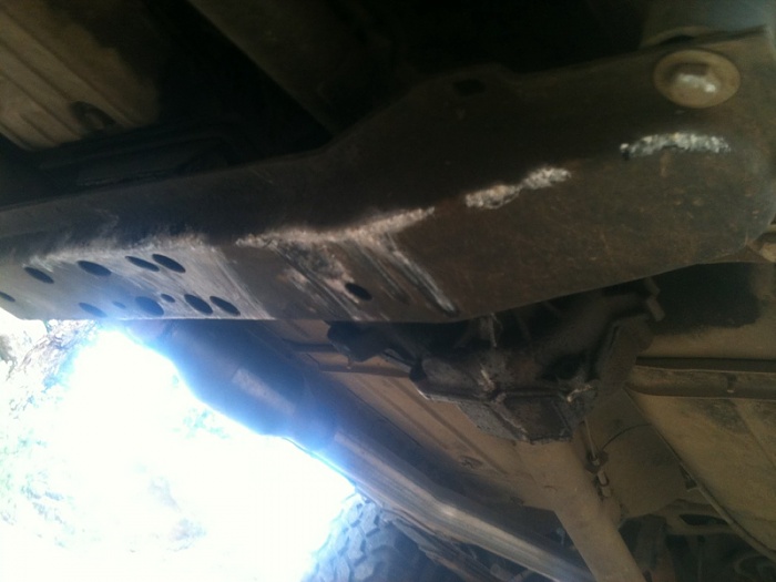 teenage owners post pics-image-4117809153.jpg
