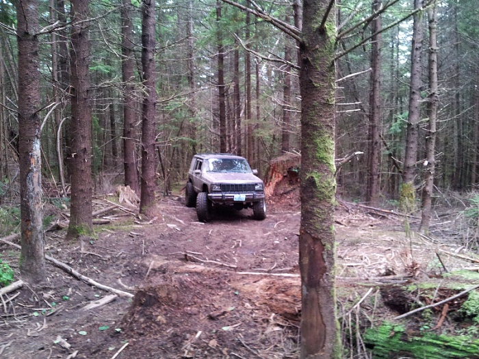 teenage owners post pics-forumrunner_20120721_103926.jpg