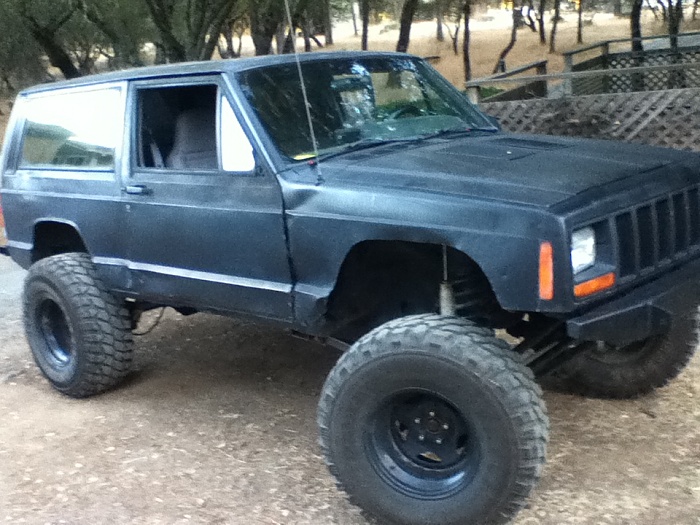 teenage owners post pics-image-2692558608.jpg