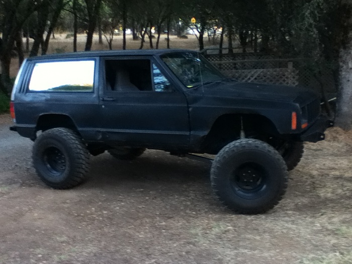 teenage owners post pics-image-4125104886.jpg