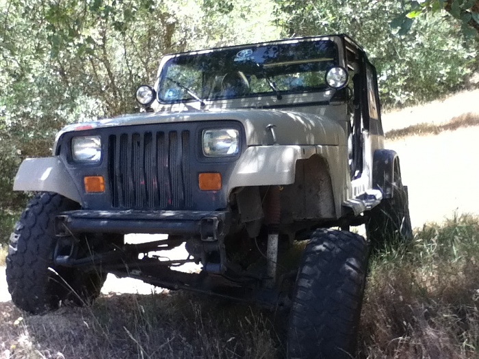 teenage owners post pics-image-2602054315.jpg