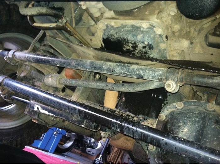teenage owners post pics-image-3992822037.jpg