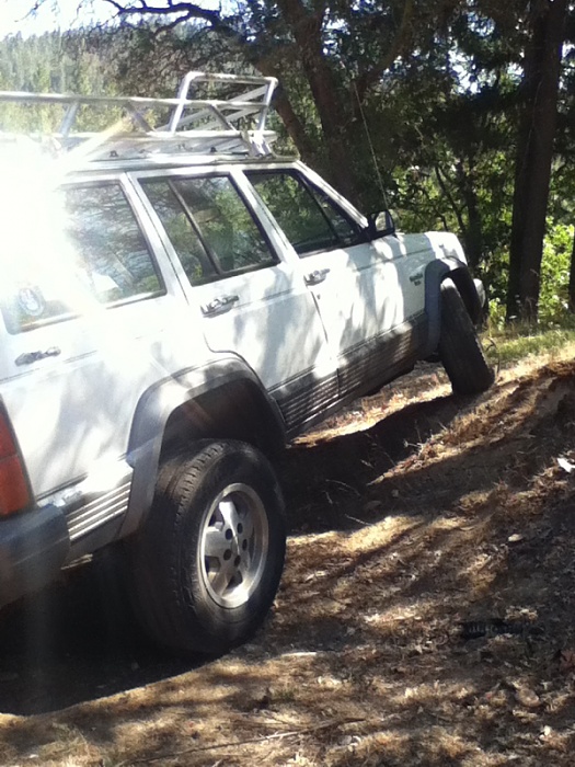 teenage owners post pics-image-2464909023.jpg