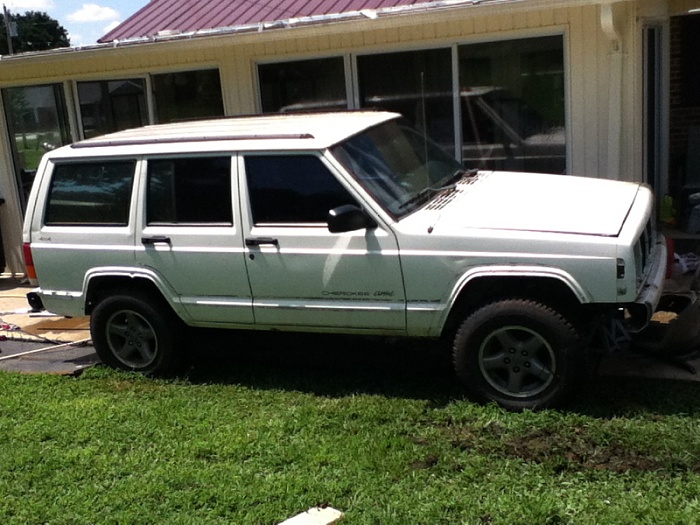 teenage owners post pics-image-328706878.jpg
