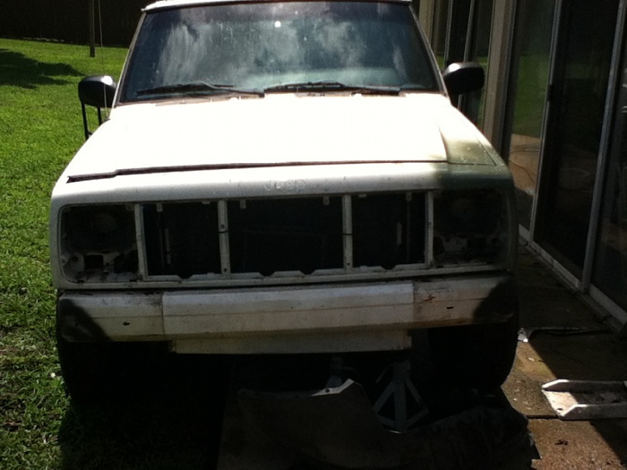 teenage owners post pics-image-3644530640.jpg