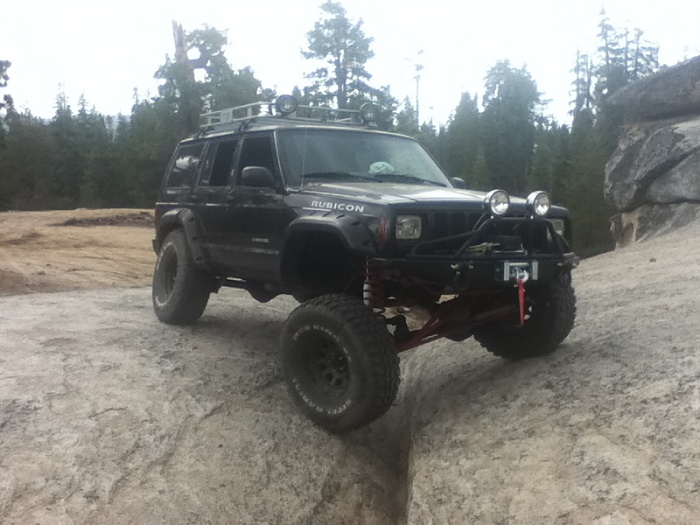 teenage owners post pics-image-1825751890.jpg