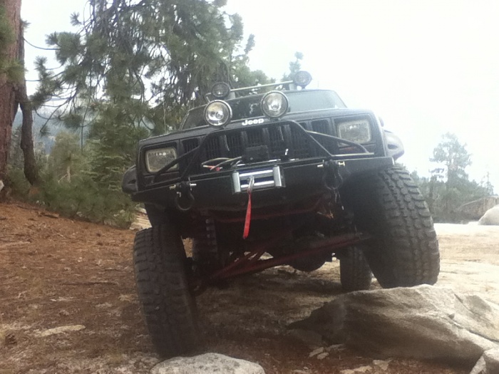 teenage owners post pics-image-3512738480.jpg