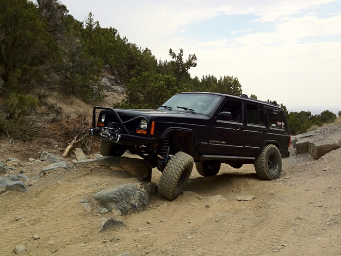 flex pics-image-689975746.jpg