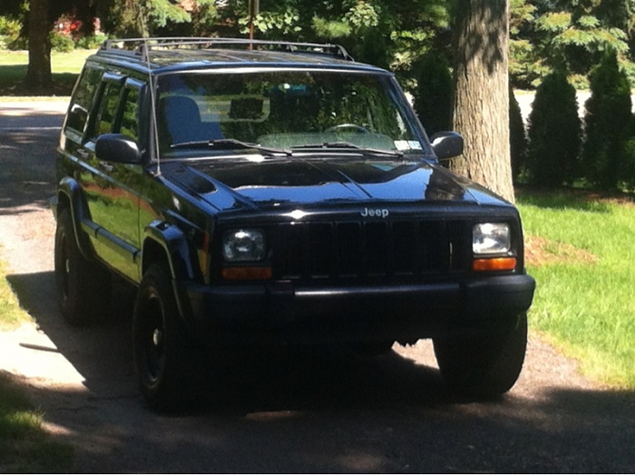 teenage owners post pics-image-1974548500.jpg