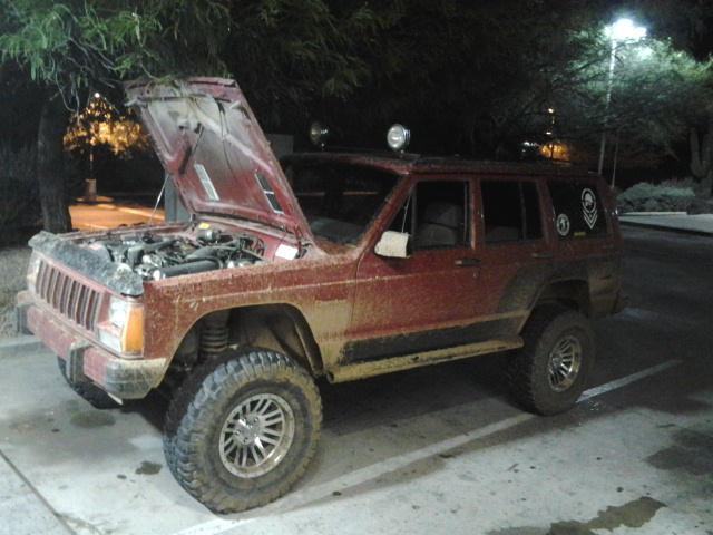 teenage owners post pics-2012-09-07-19.57.20.jpg