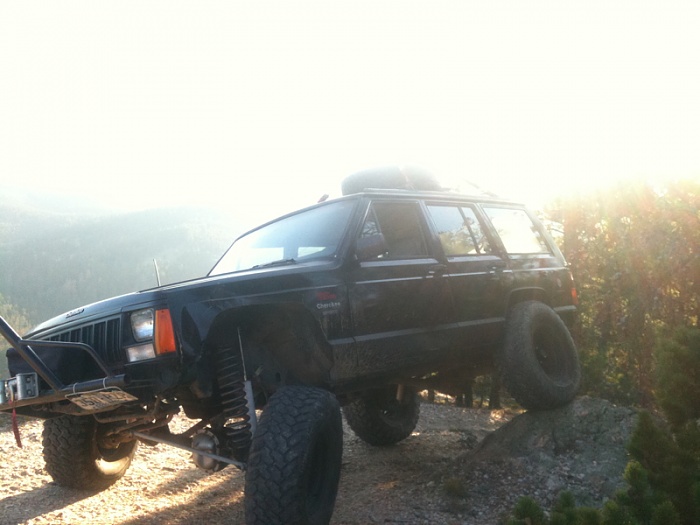 teenage owners post pics-image-480965095.jpg