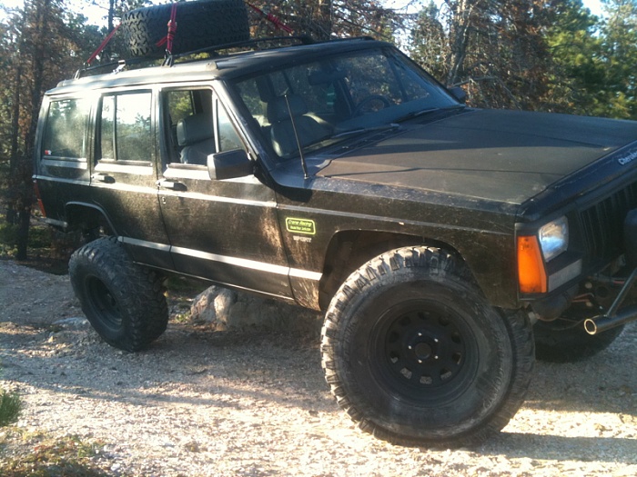 teenage owners post pics-image-3787449217.jpg