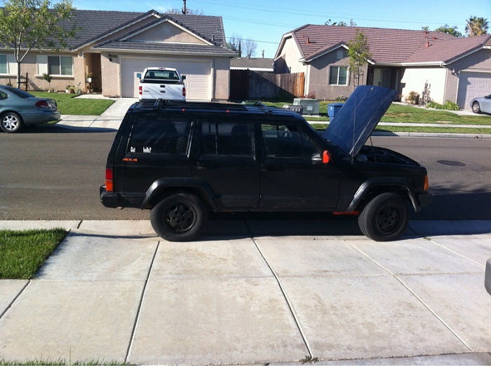 teenage owners post pics-image-3668267020.jpg