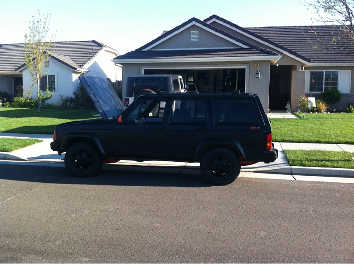 teenage owners post pics-image-650623230.jpg