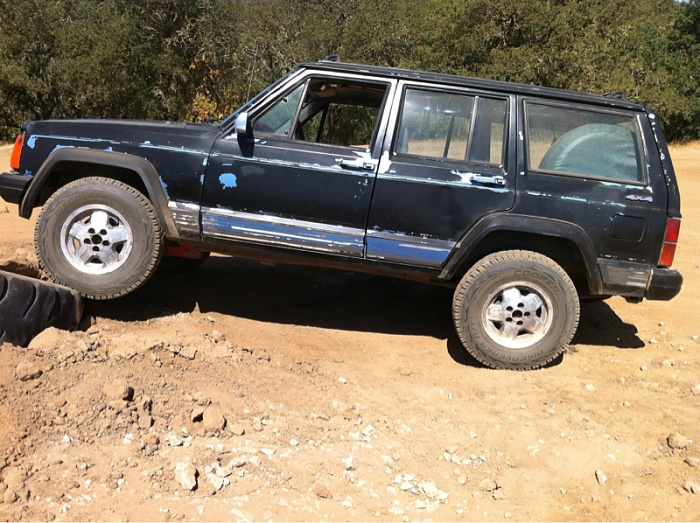 teenage owners post pics-image-4182863179.jpg
