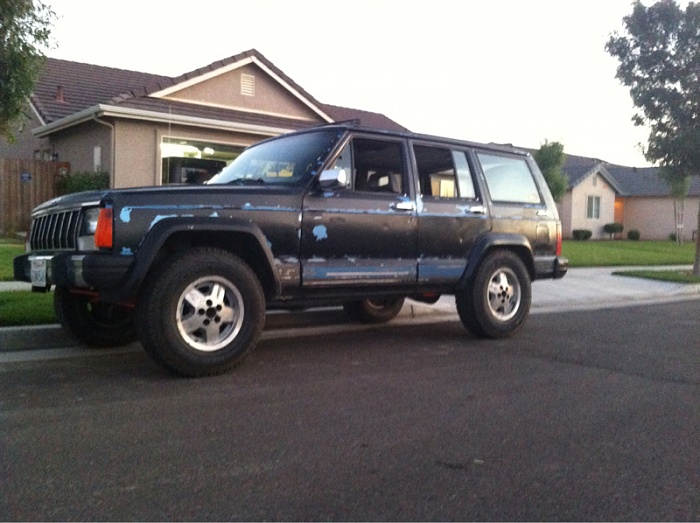 teenage owners post pics-image-3706831308.jpg