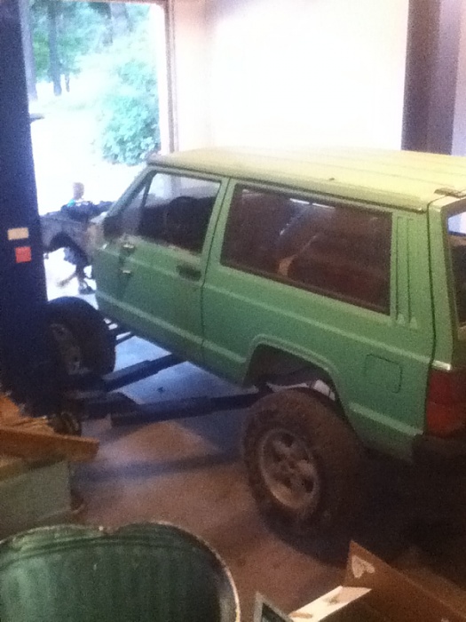 teenage owners post pics-image-3277438503.jpg
