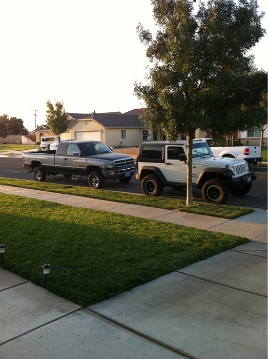 teenage owners post pics-image-2142363771.jpg