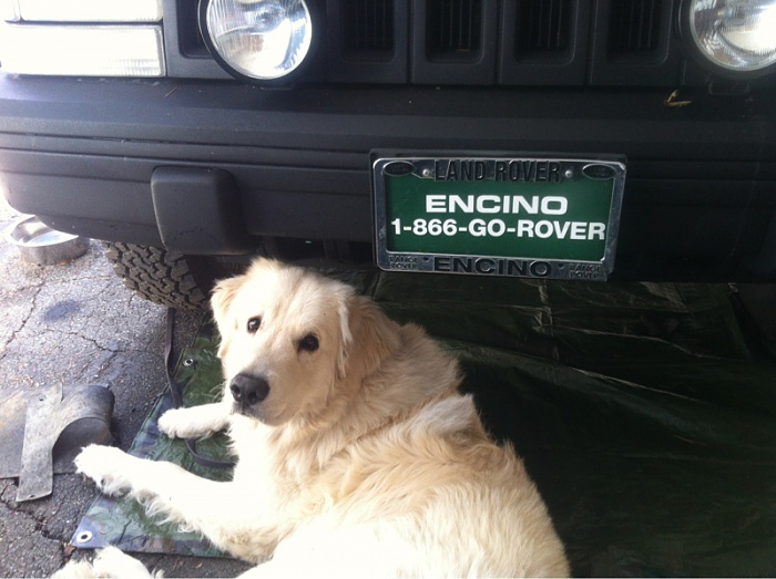 What did you do to your Cherokee today?-image-664907230.jpg