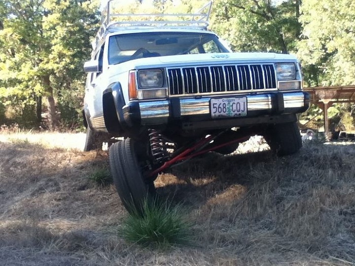 teenage owners post pics-image-1129020436.jpg