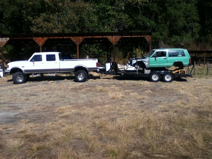 teenage owners post pics-image-3591531948.jpg