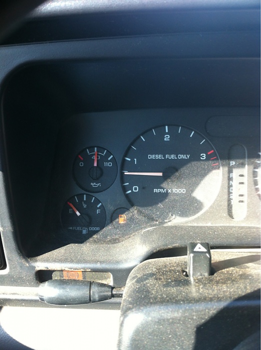 teenage owners post pics-image-1453003844.jpg
