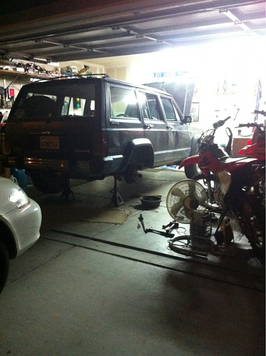 teenage owners post pics-image-653233765.jpg
