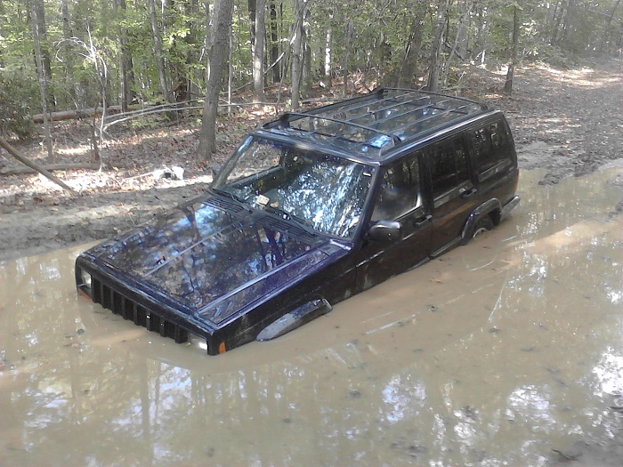 teenage owners post pics-photo10061633.jpg