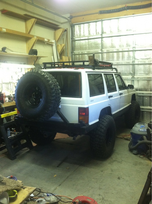 teenage owners post pics-image-1732576113.jpg