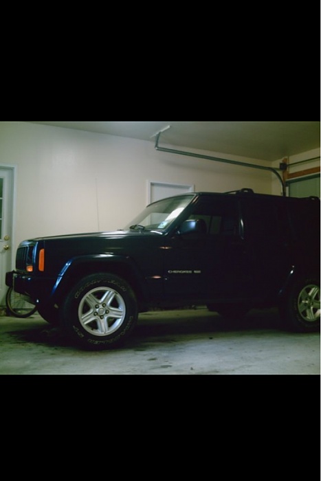 teenage owners post pics-image-3859789372.jpg