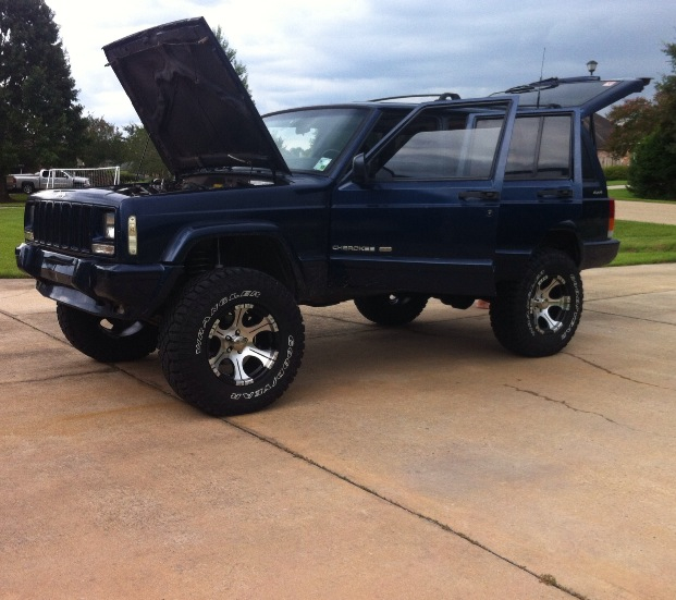 teenage owners post pics-image-3048699537.jpg