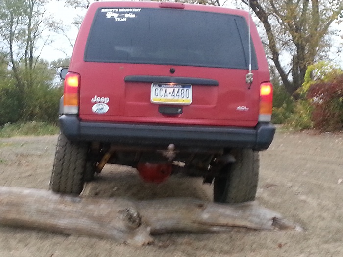teenage owners post pics-20121023_175721.jpg