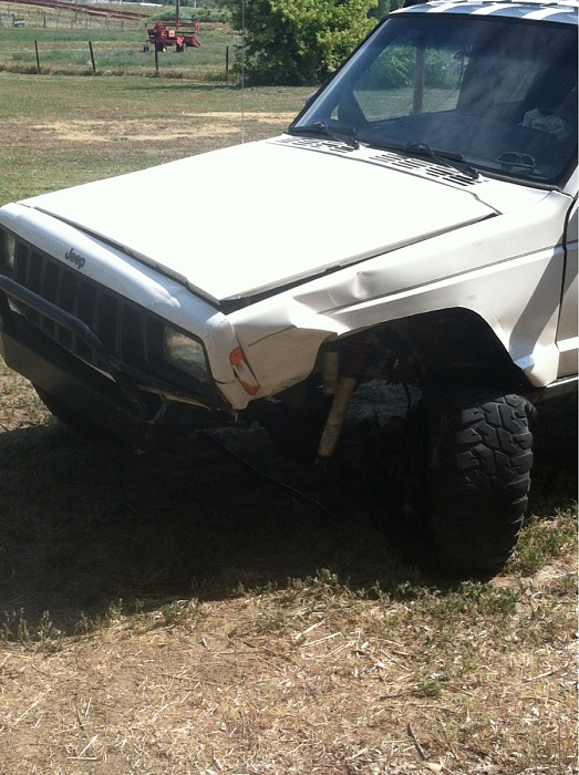 teenage owners post pics-image-2617961249.jpg