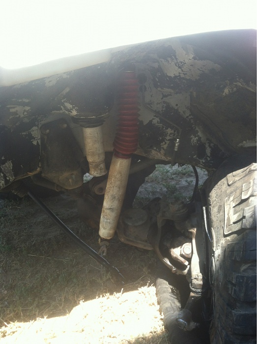 teenage owners post pics-image-3039657809.jpg
