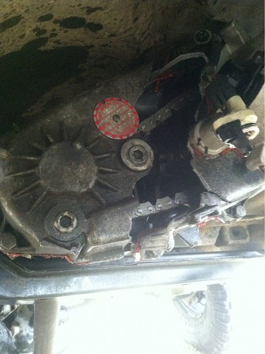 teenage owners post pics-image-3497412230.jpg