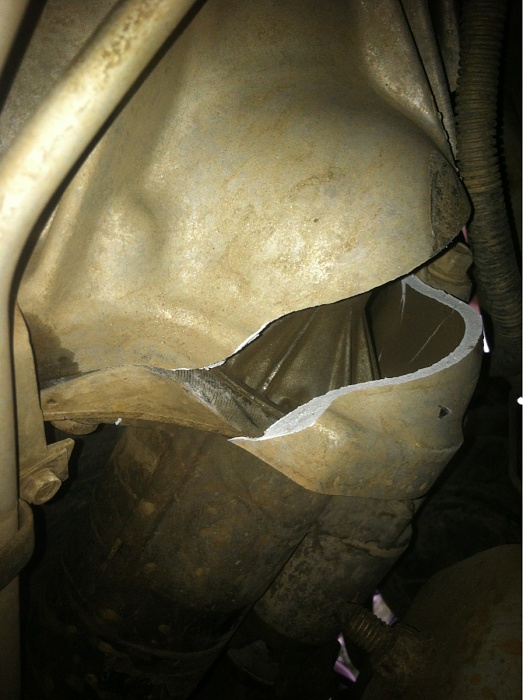 teenage owners post pics-image-2946868154.jpg