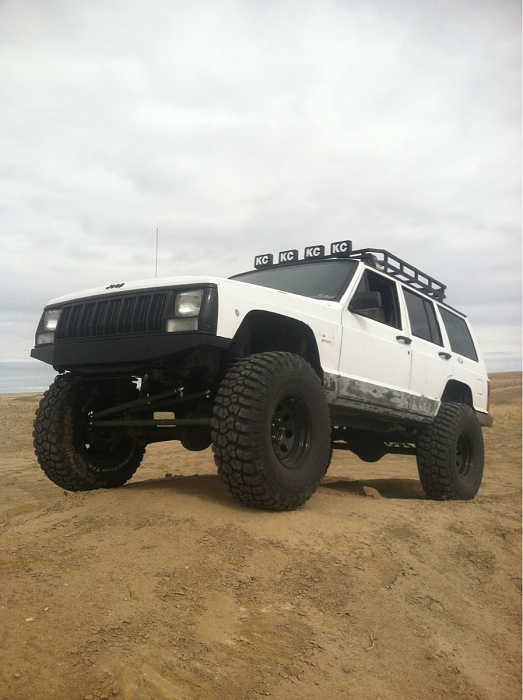 teenage owners post pics-image-2918951220.jpg