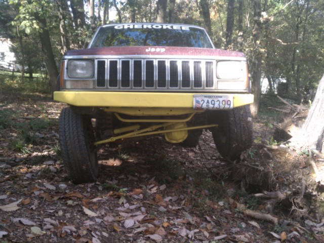 teenage owners post pics-imag0213.jpg