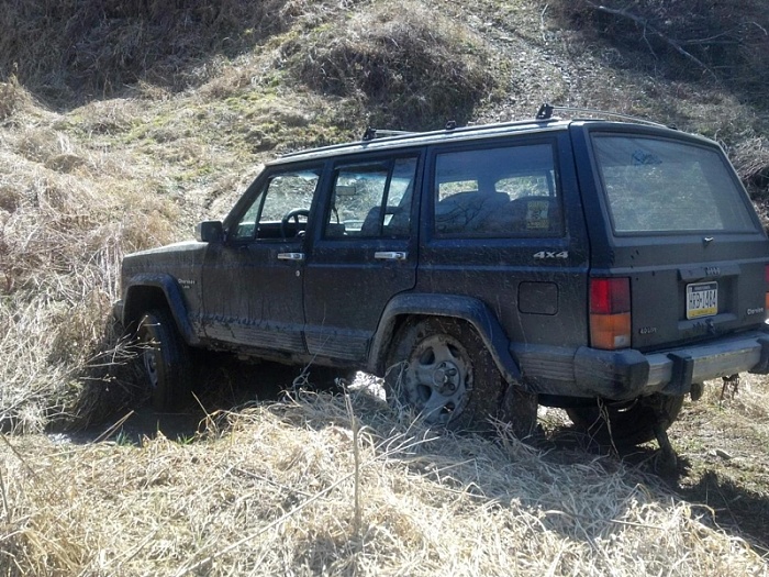 flex pics-image-4256784407.jpg