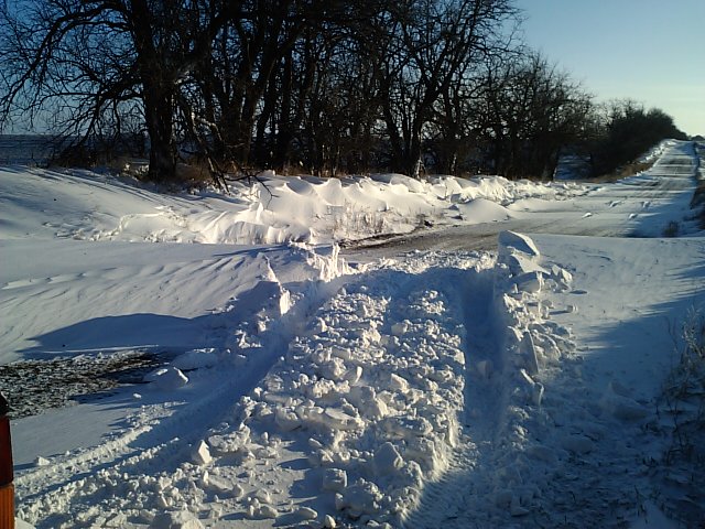 Playing in the Snow (Pictures)-1220120835a.jpg