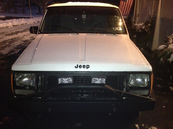 teenage owners post pics-image-1845973638.jpg