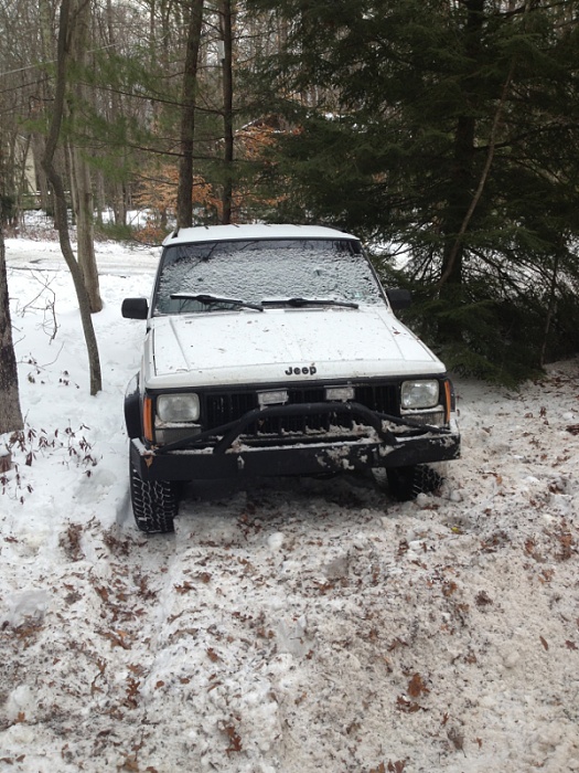 teenage owners post pics-image-2717192665.jpg