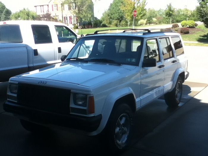 teenage owners post pics-image-2747141526.jpg