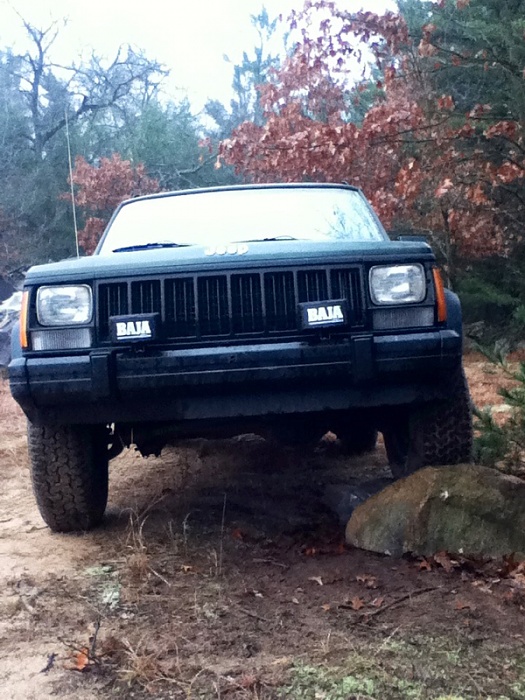 teenage owners post pics-image-3505599809.jpg