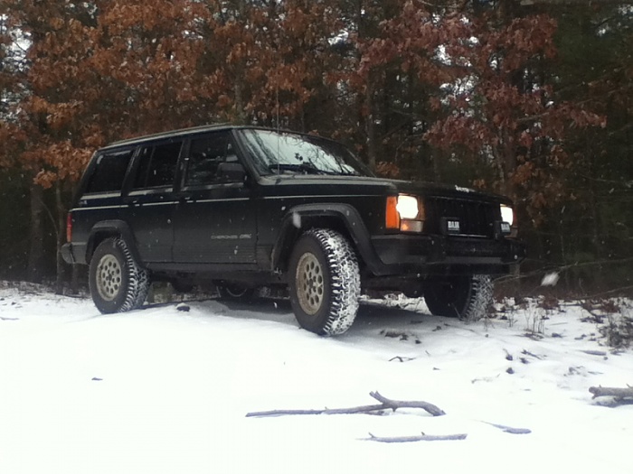 teenage owners post pics-image-1847220547.jpg